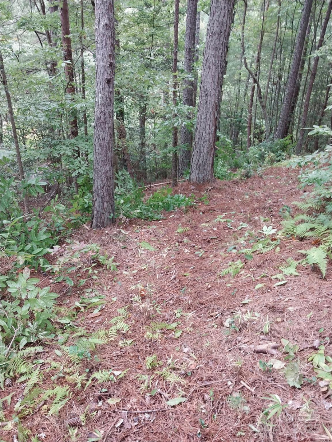 2254 Anchor Lane #110 - Photo 16