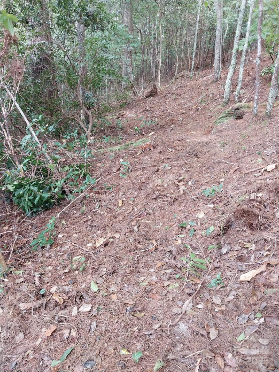 2254 Anchor Lane #110 - Photo 17