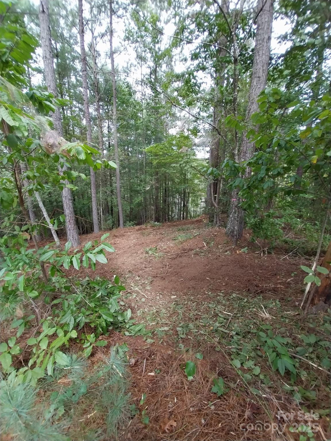 2254 Anchor Lane #110 - Photo 18