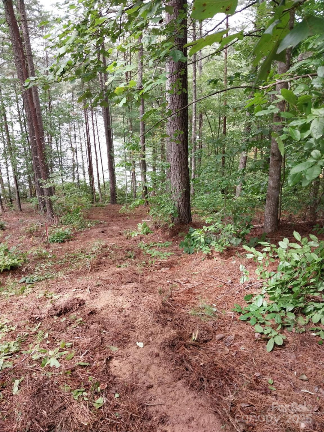 2254 Anchor Lane #110 - Photo 20