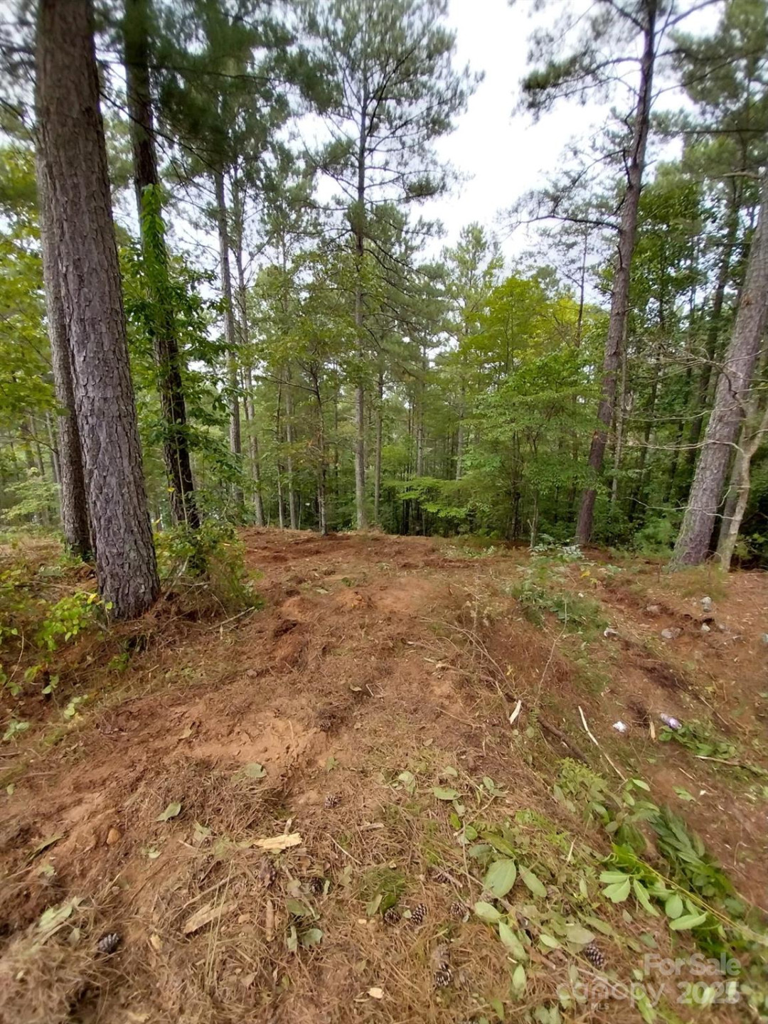 2254 Anchor Lane #110 - Photo 22