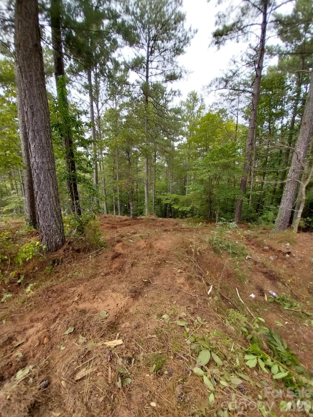 2254 Anchor Lane #110 - Photo 22