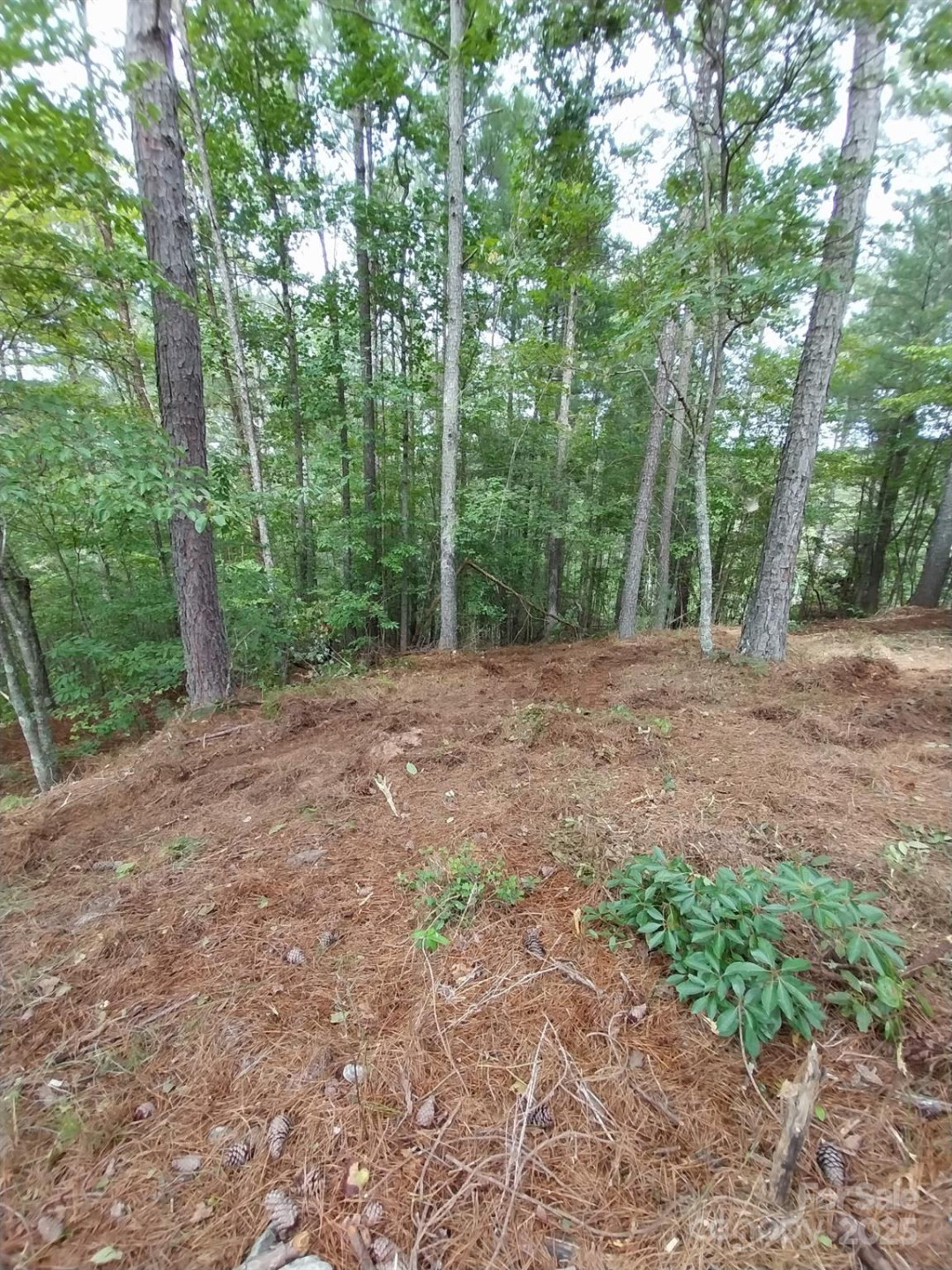 2254 Anchor Lane #110 - Photo 23