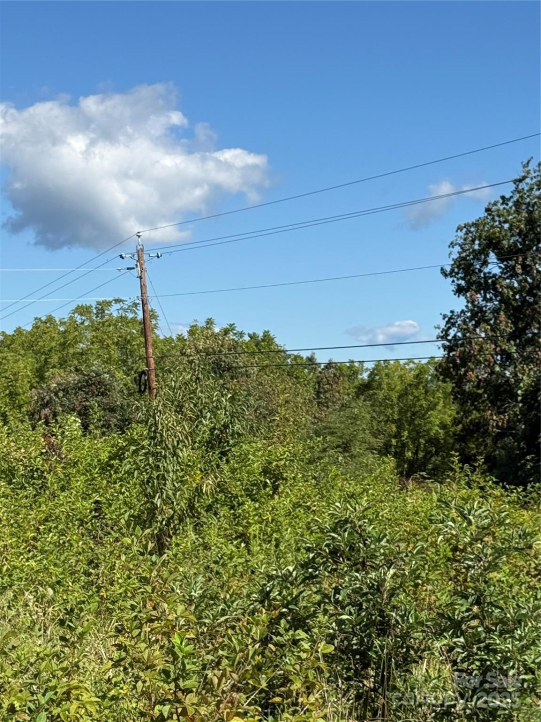 21 Eller Ford Road - Photo 2