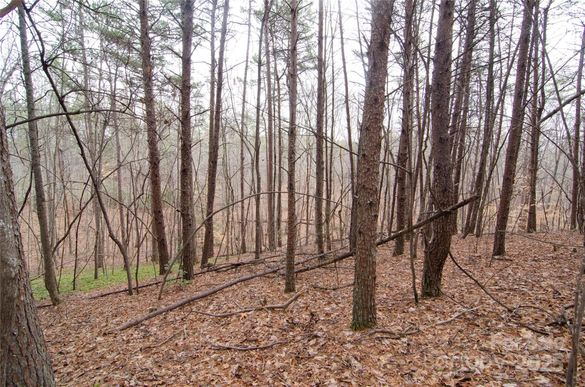 0 Rainbow Rapids Road - Photo 2