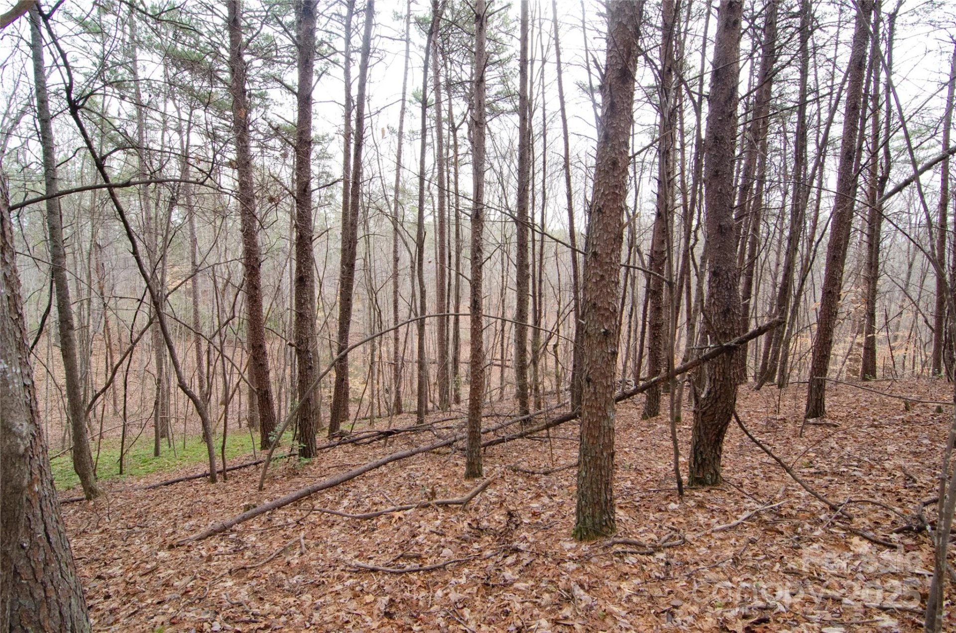 0 Rainbow Rapids Road - Photo 2
