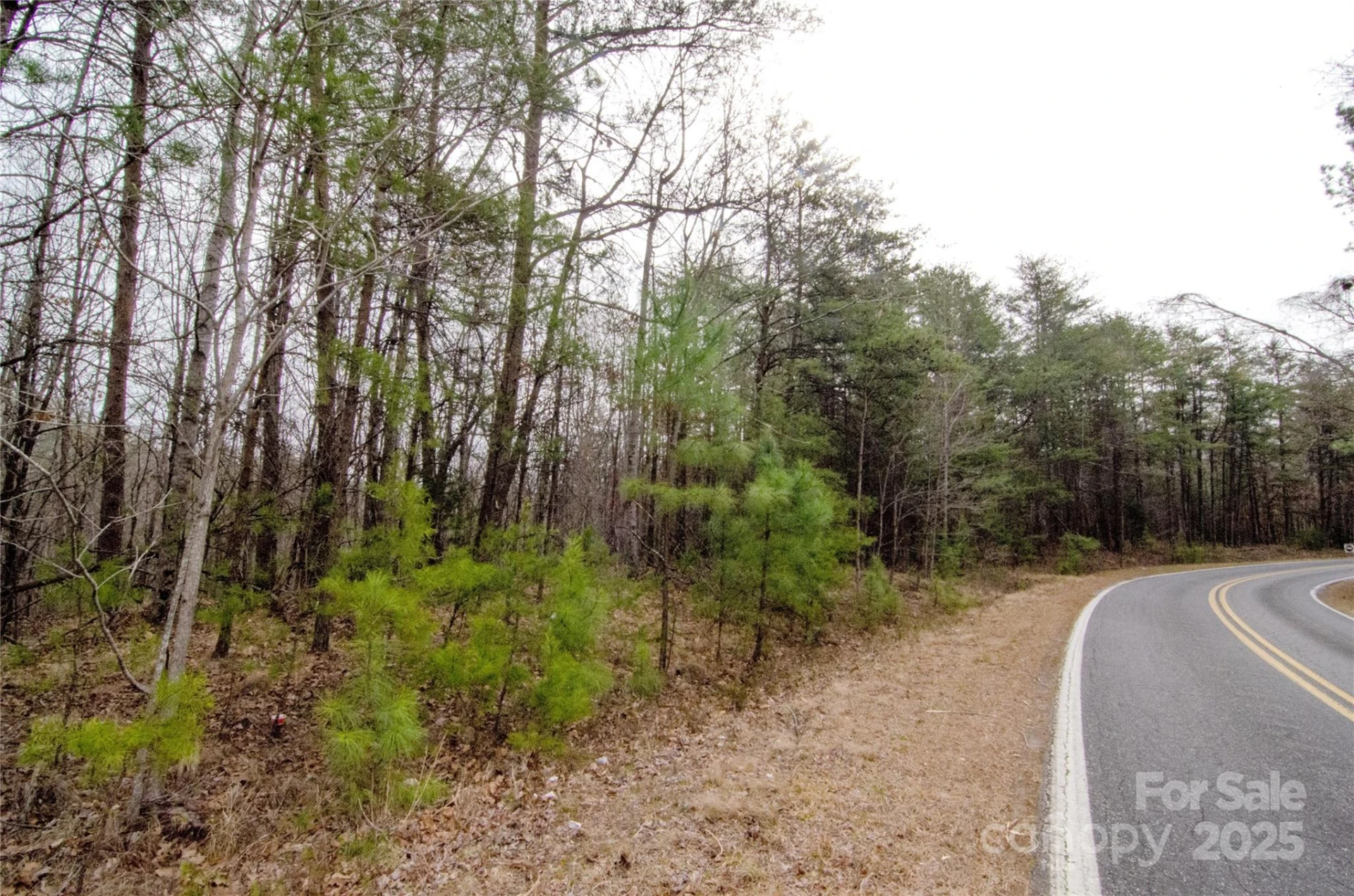 0 Rainbow Rapids Road - Photo 4