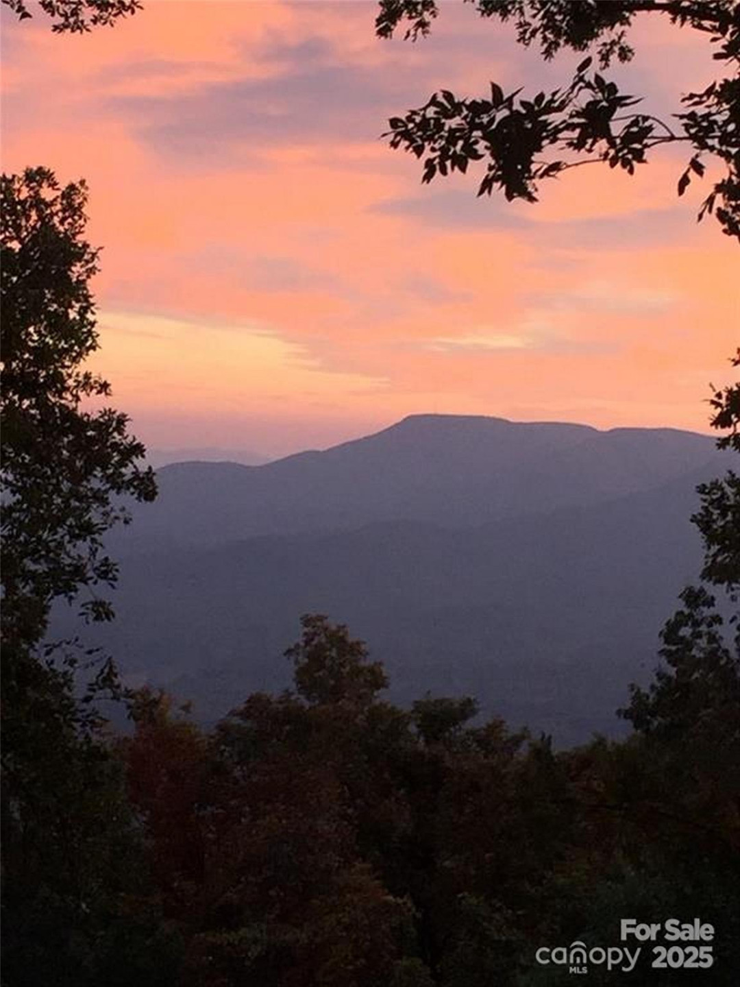 00 Morning Ride Drive #38