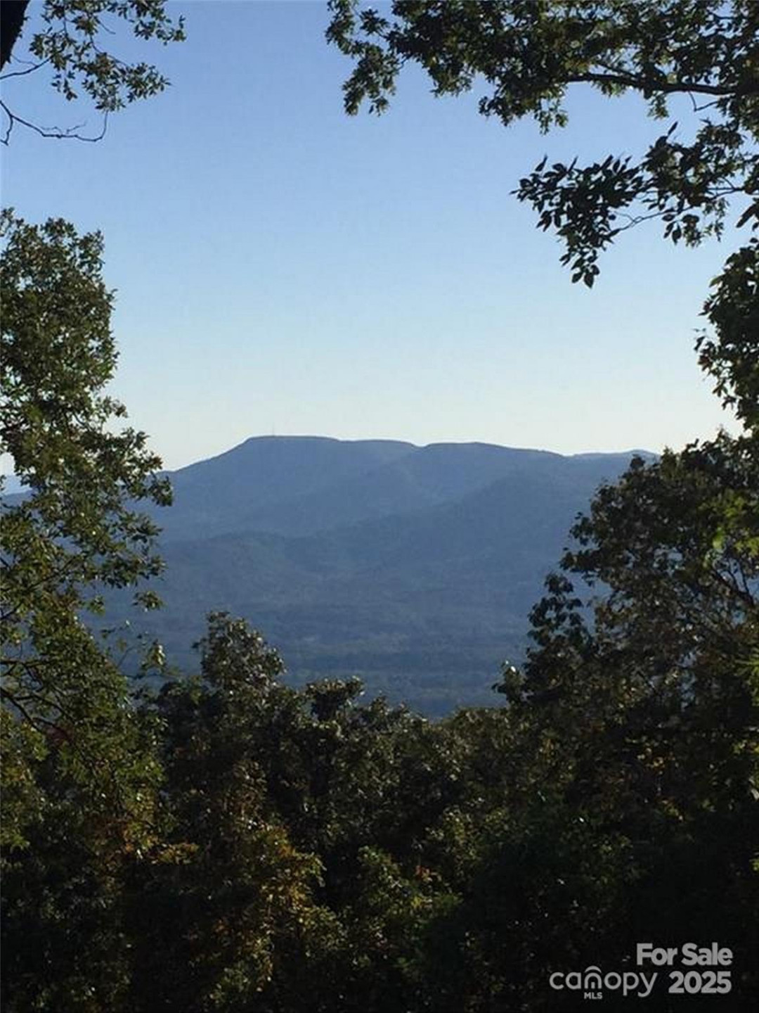 00 Morning Ride Drive #38 - Photo 5