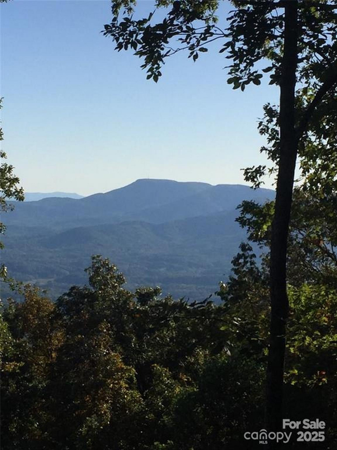 00 Morning Ride Drive #38 - Photo 6