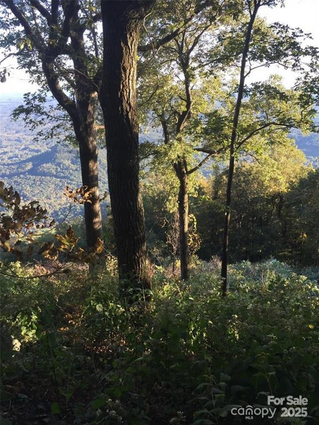 00 Morning Ride Drive #38 - Photo 7