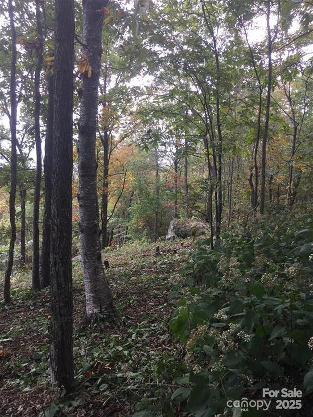 00 Morning Ride Drive #38 - Photo 8