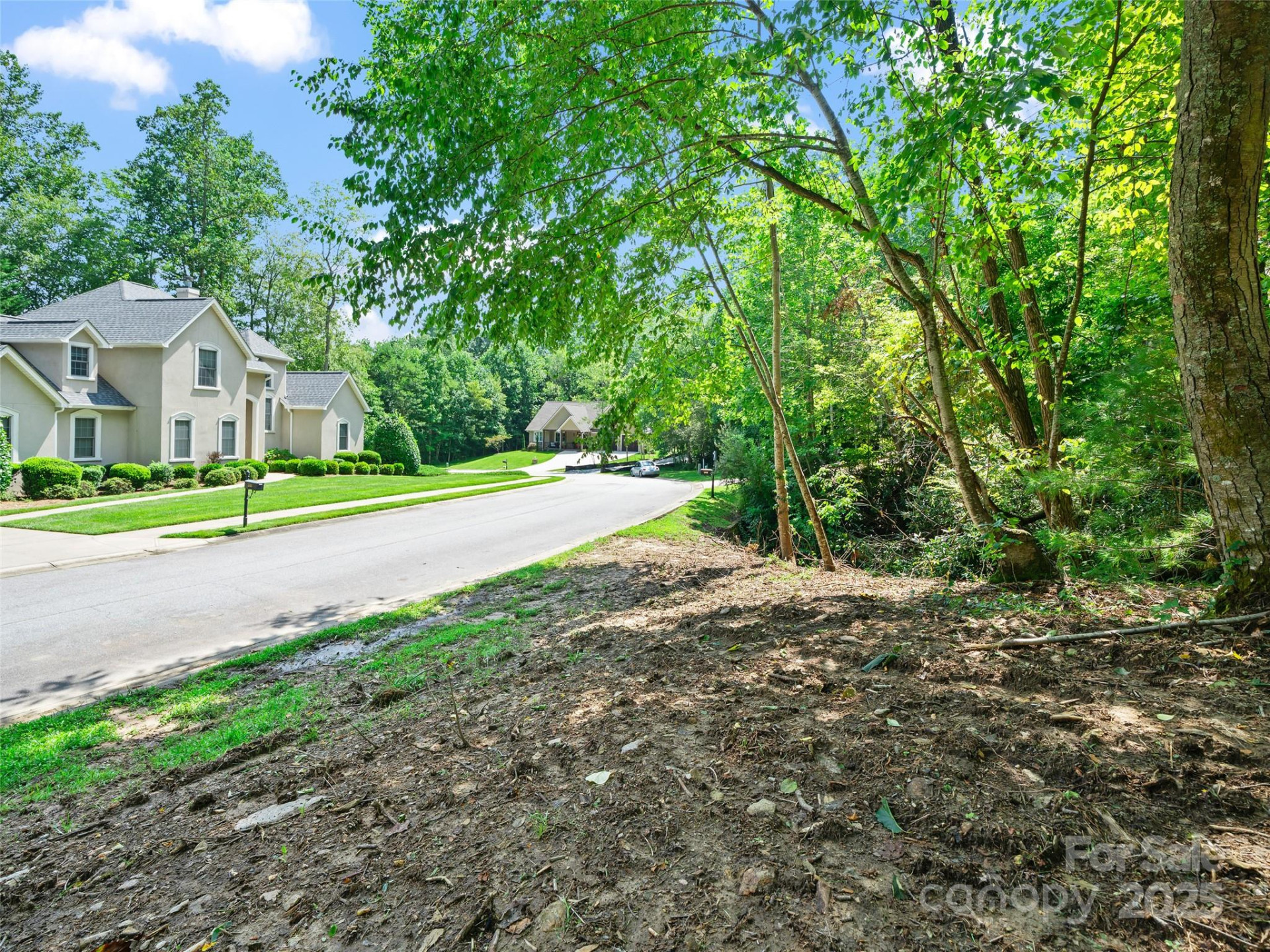 99999 Mistletoe Trail #43 & 44 - Photo 2