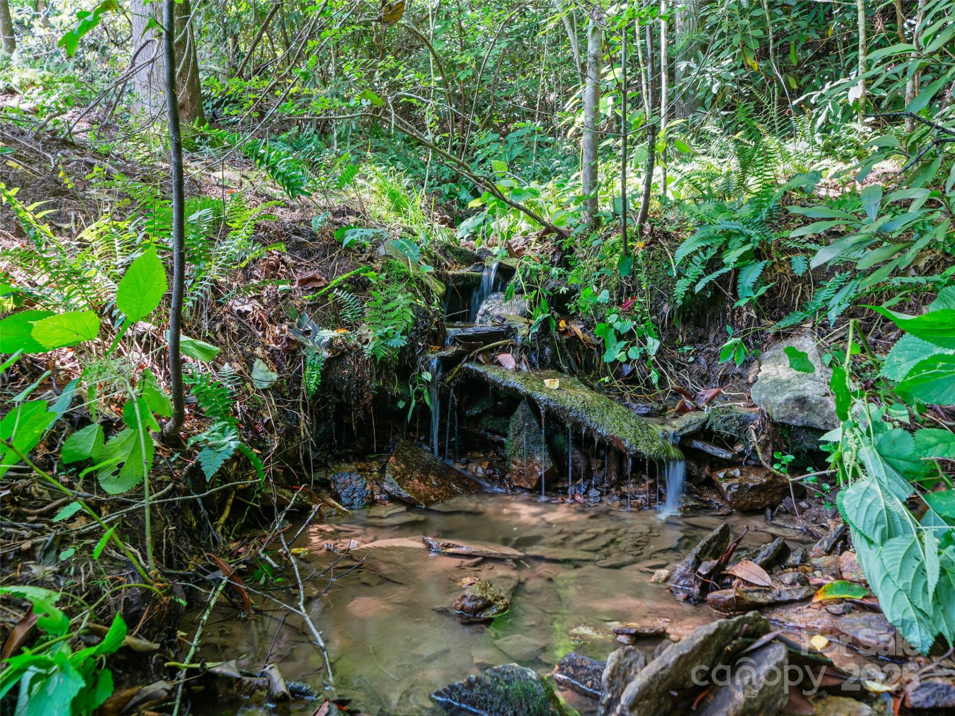 99999 Mistletoe Trail #43 & 44 - Photo 11