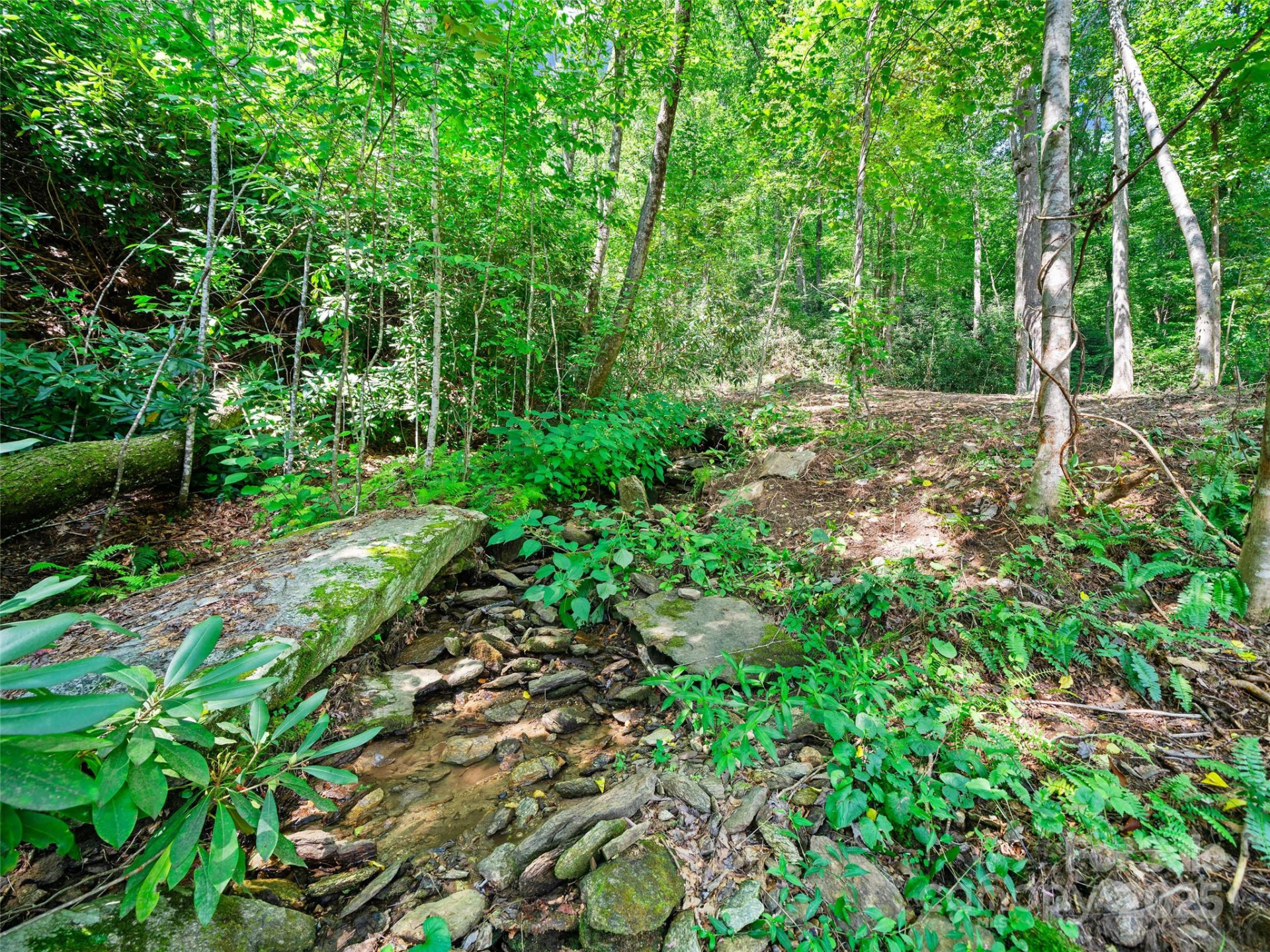 99999 Mistletoe Trail #43 & 44 - Photo 12