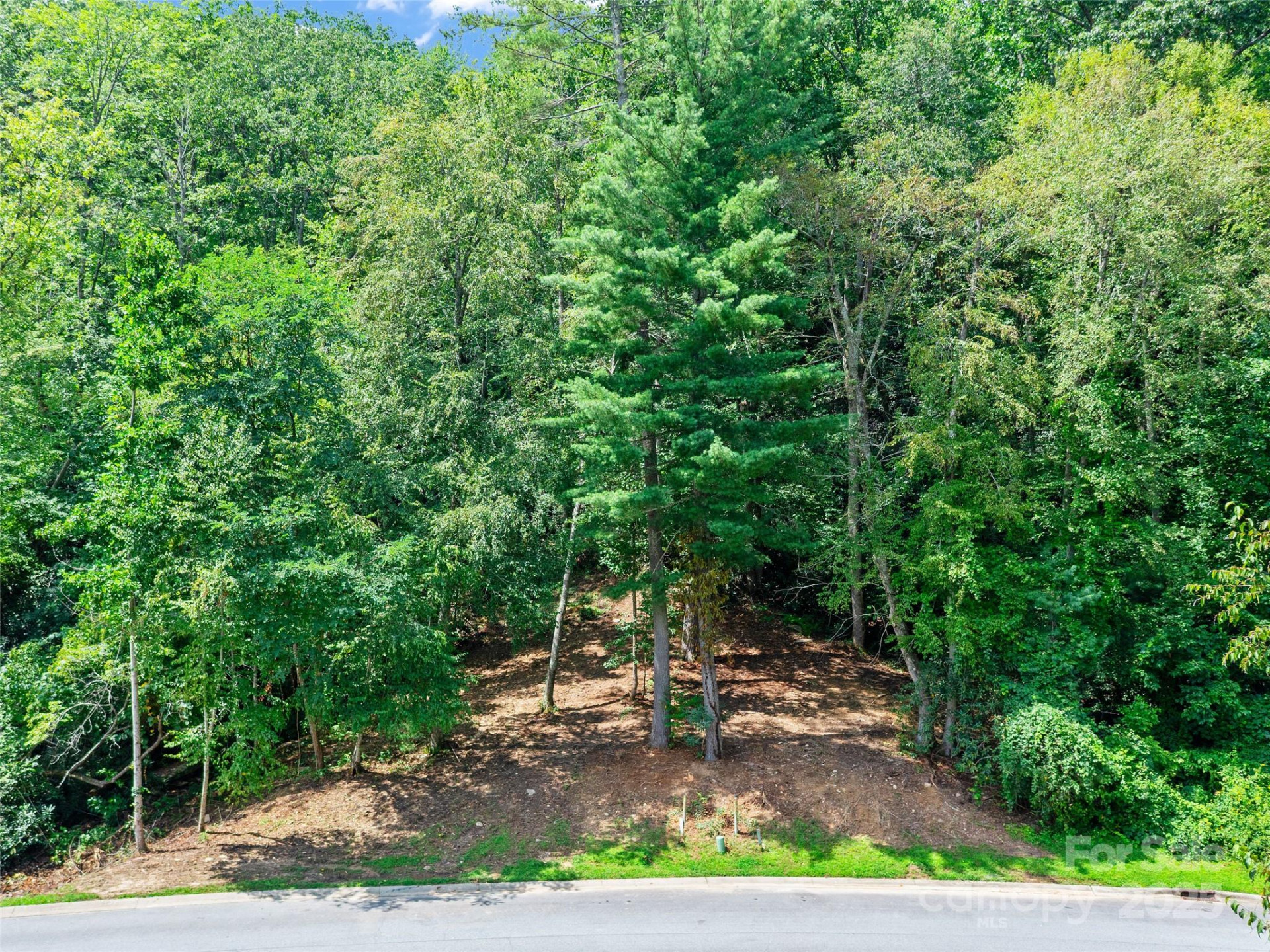 99999 Mistletoe Trail #43 & 44 - Photo 13