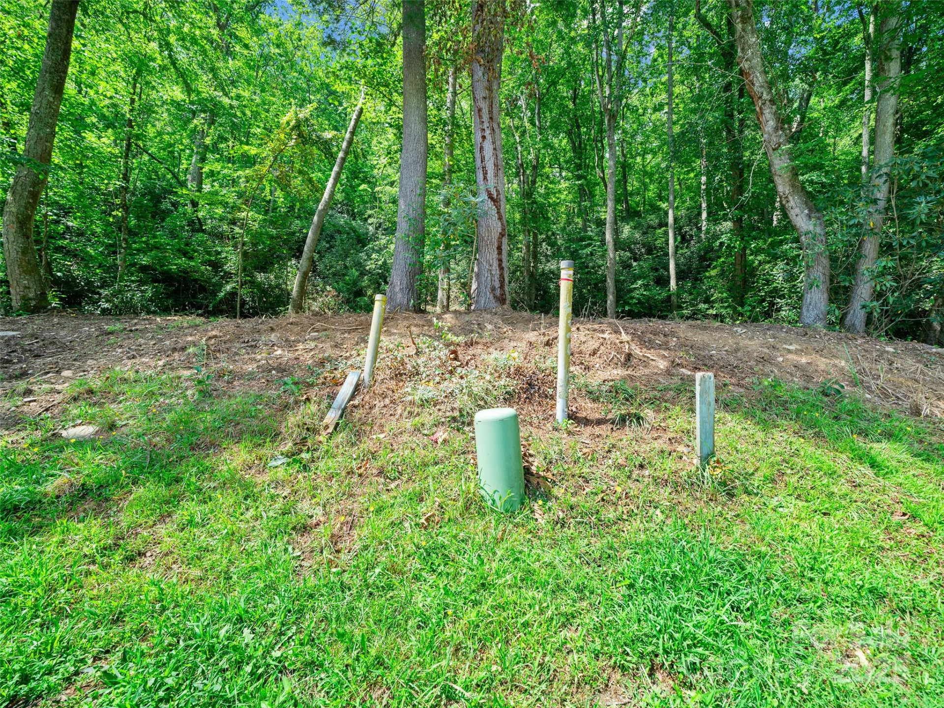 99999 Mistletoe Trail #43 & 44 - Photo 14