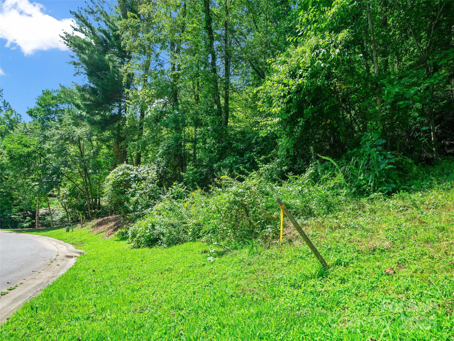 99999 Mistletoe Trail #43 & 44 - Photo 16