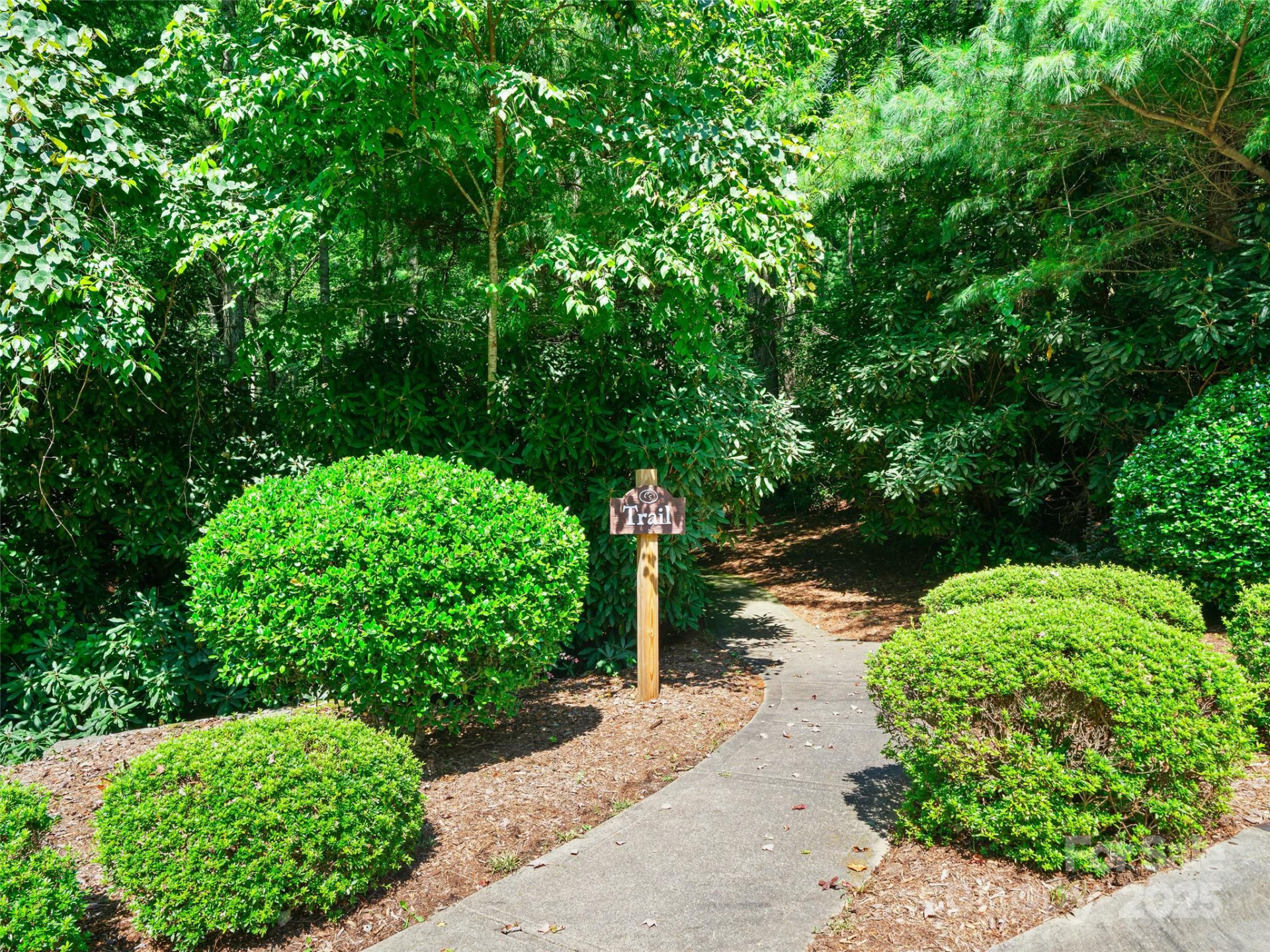 99999 Mistletoe Trail #43 & 44 - Photo 19