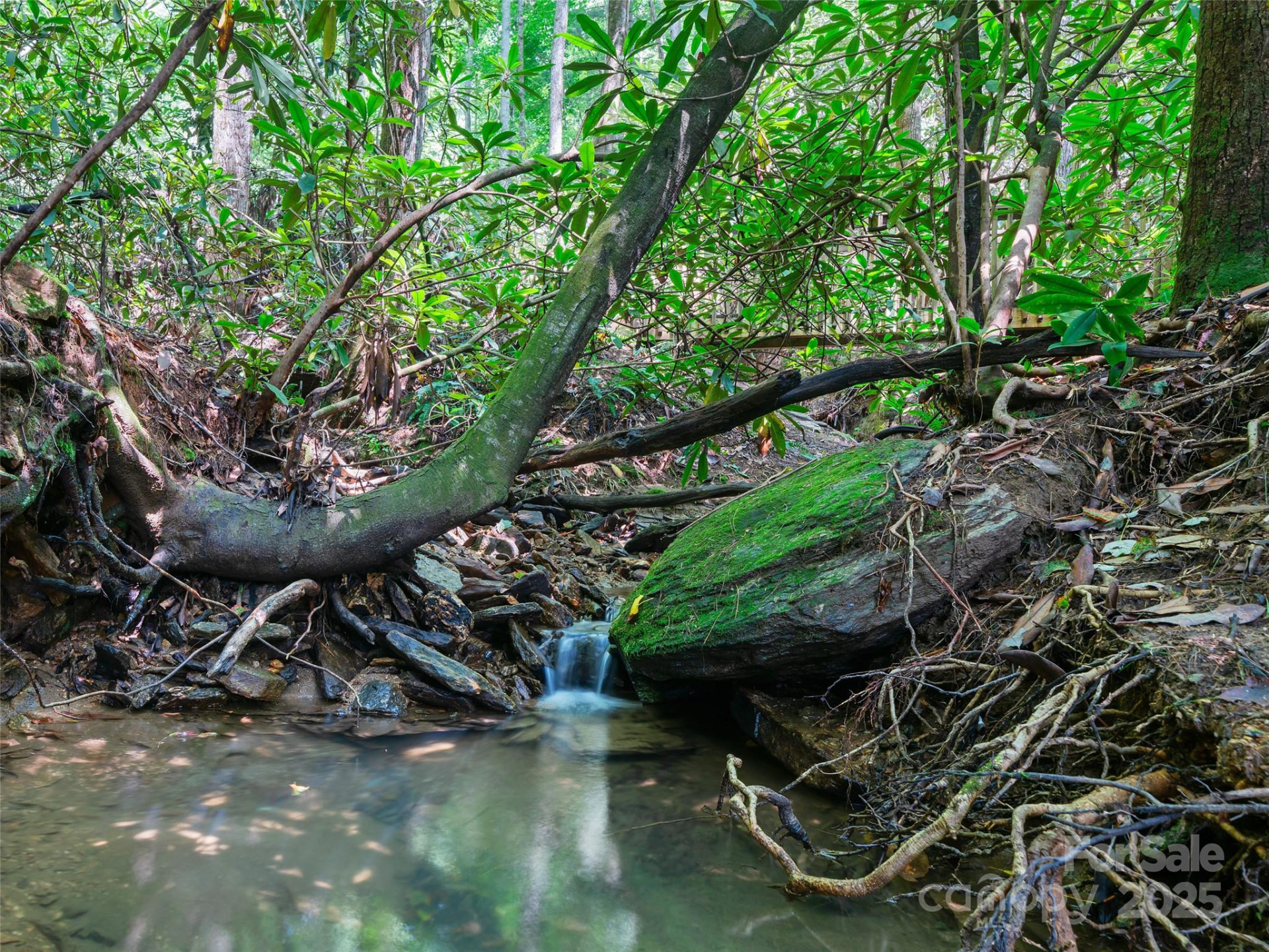 99999 Mistletoe Trail #43 & 44 - Photo 21