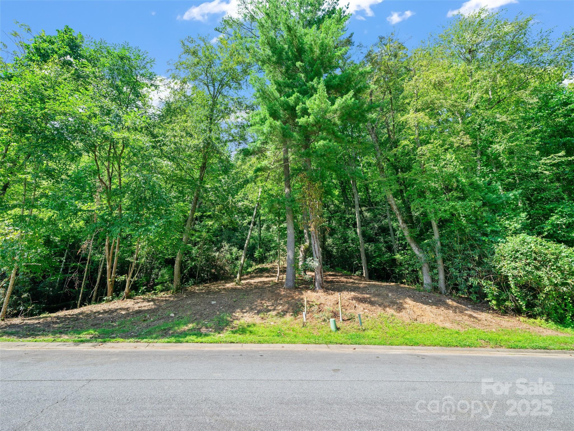 99999 Mistletoe Trail #43 & 44 - Photo 6