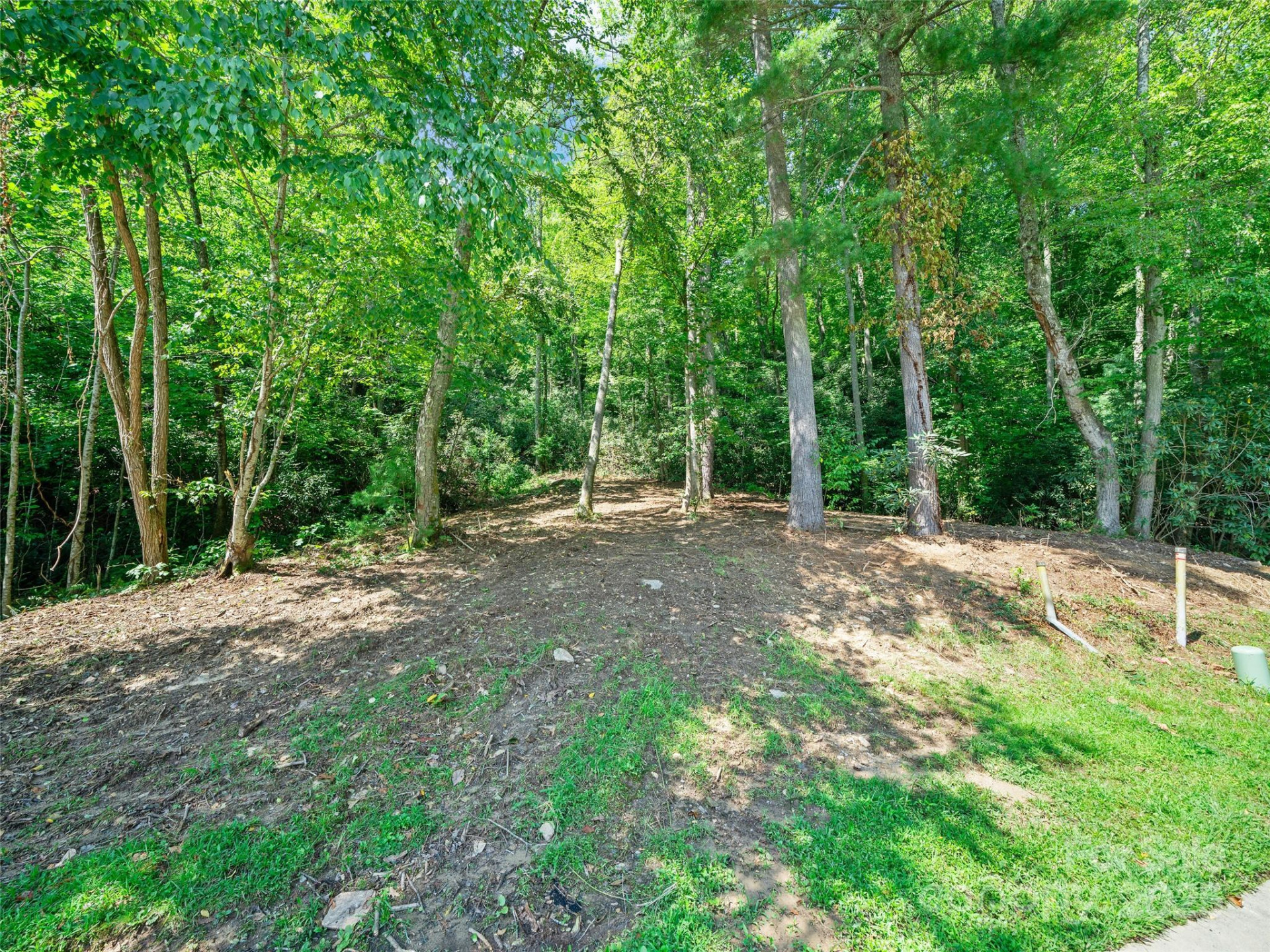 99999 Mistletoe Trail #43 & 44 - Photo 7