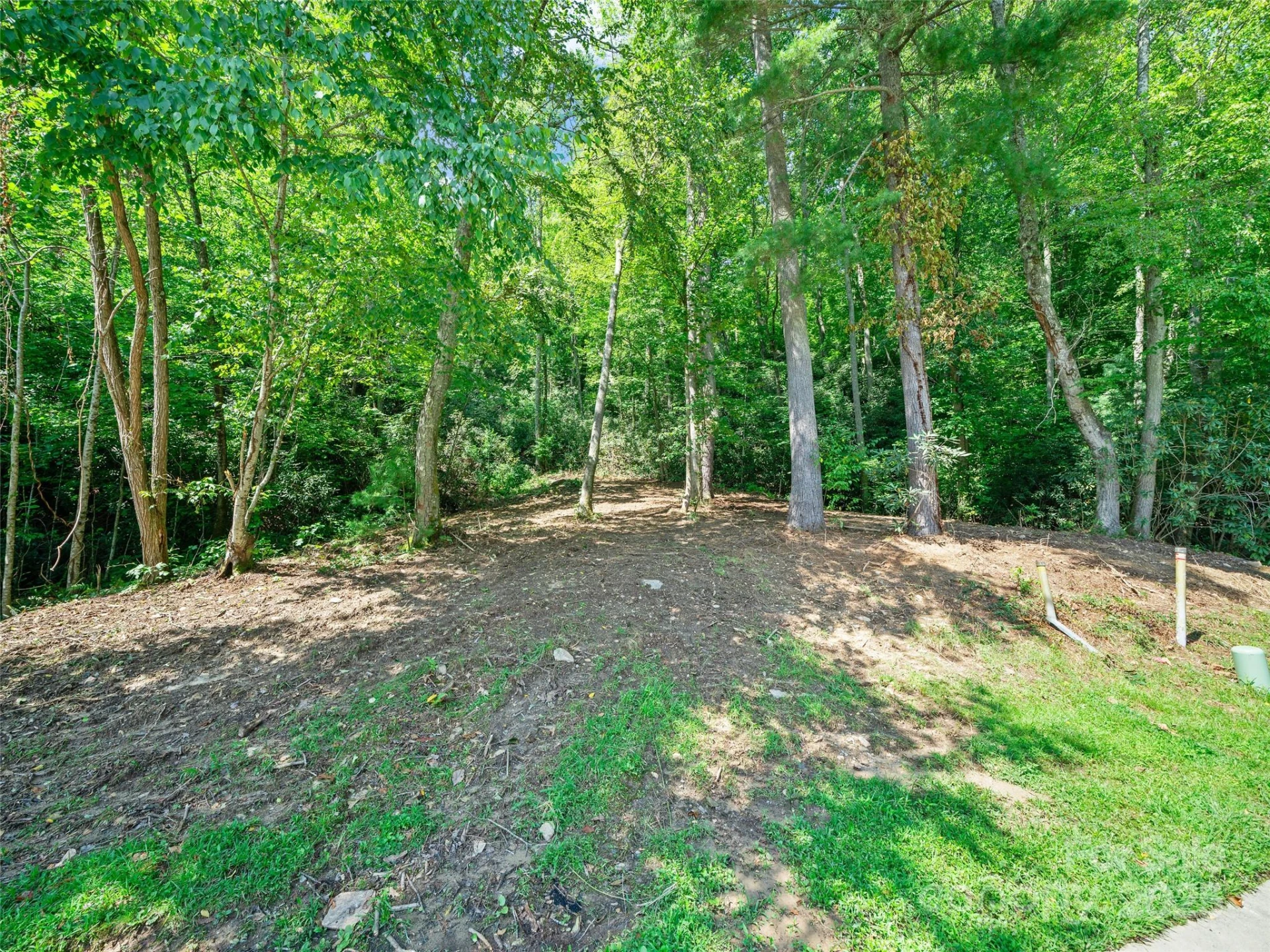 99999 Mistletoe Trail #43 & 44 - Photo 7