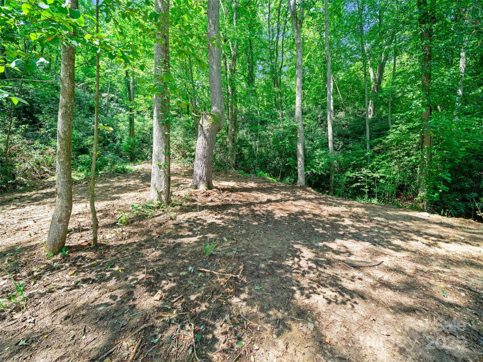 99999 Mistletoe Trail #43 & 44 - Photo 8