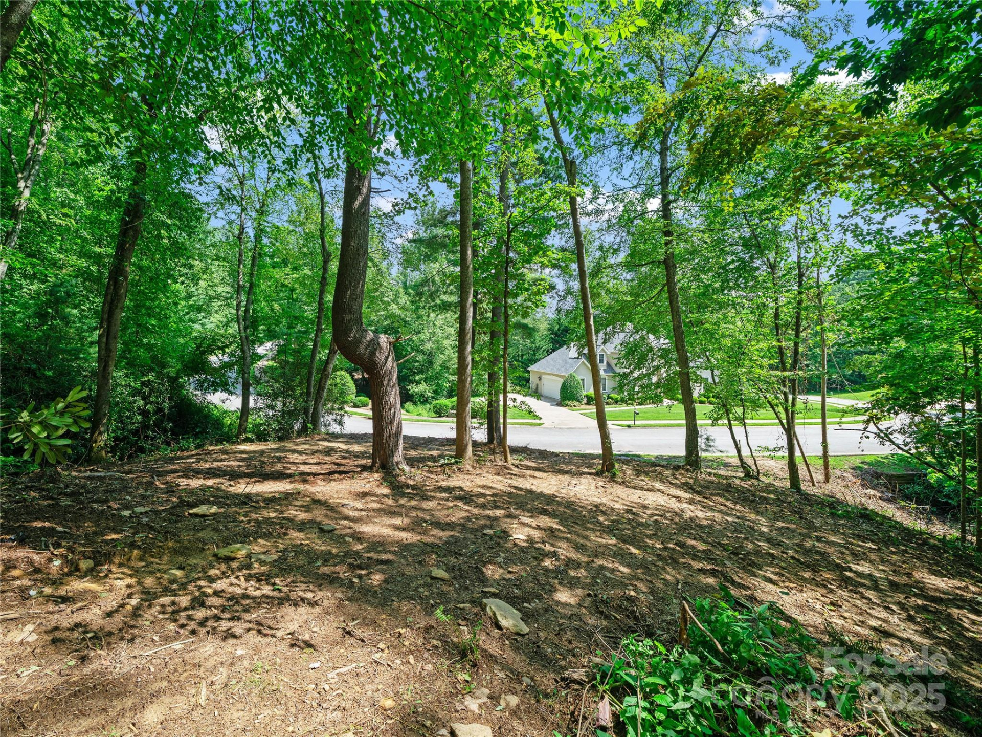 99999 Mistletoe Trail #43 & 44 - Photo 9