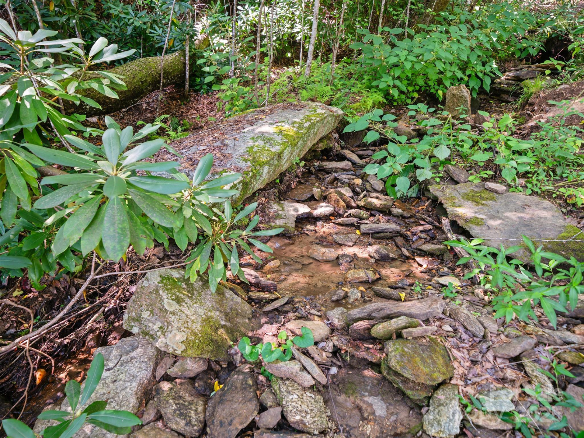 99999 Mistletoe Trail #43 & 44 - Photo 10