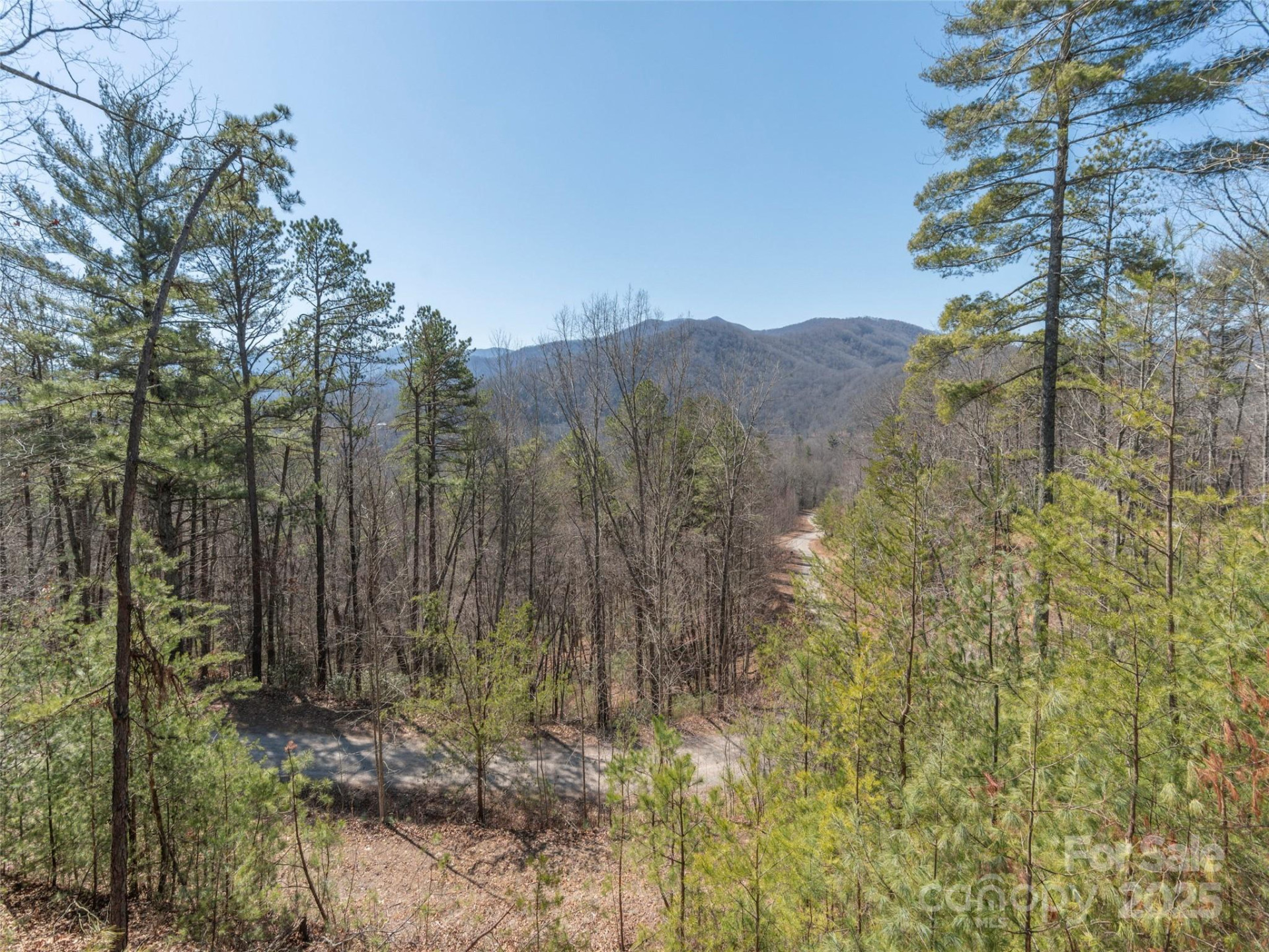 410 Dream Valley Drive - Photo 29