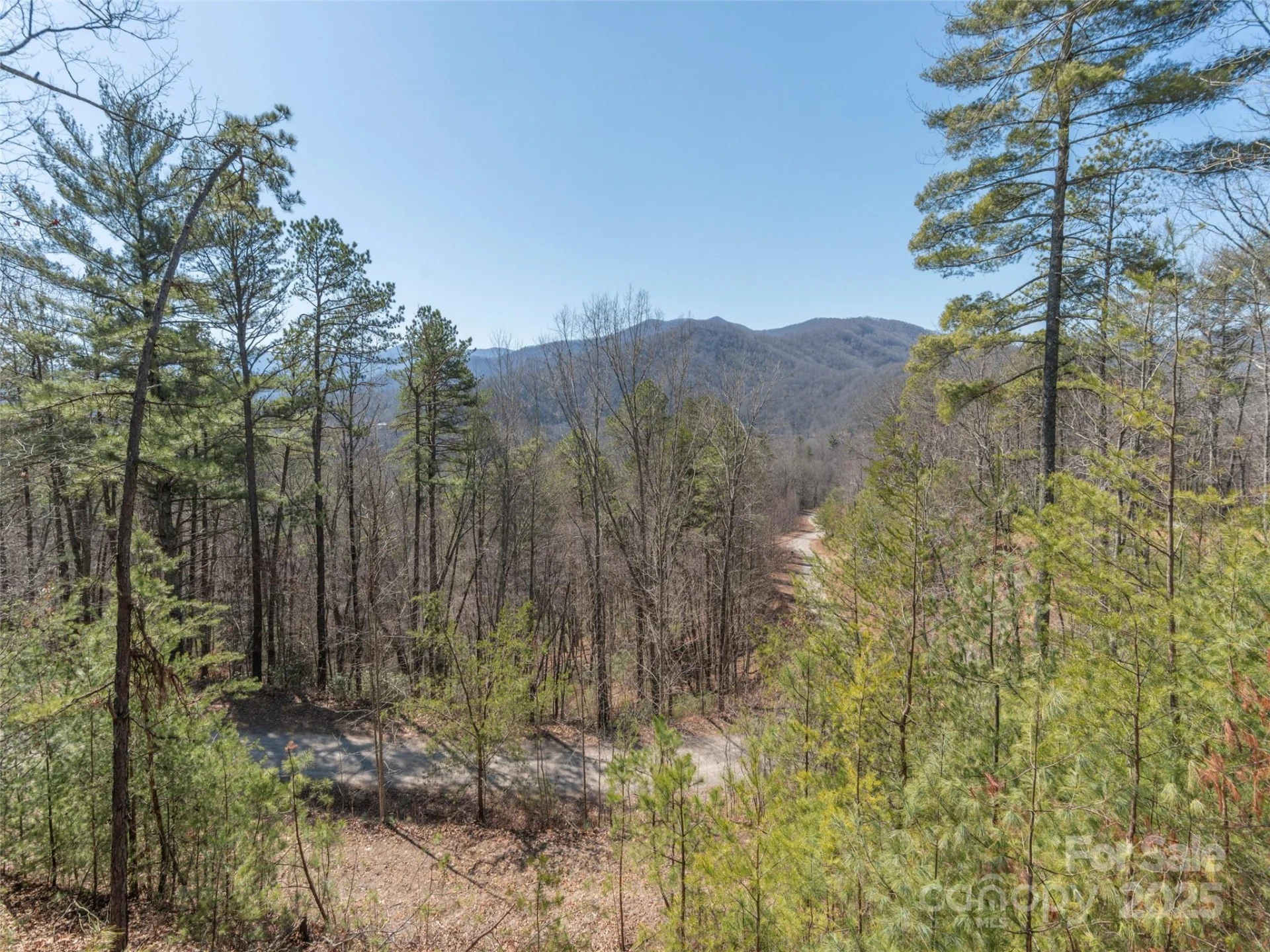 410 Dream Valley Drive - Photo 29