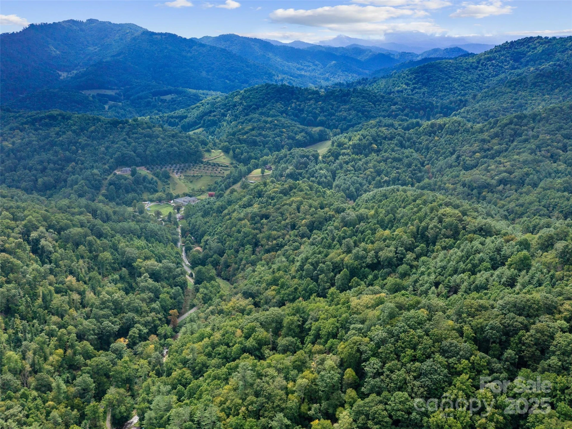 1393 Bald Mountain Road - Photo 4
