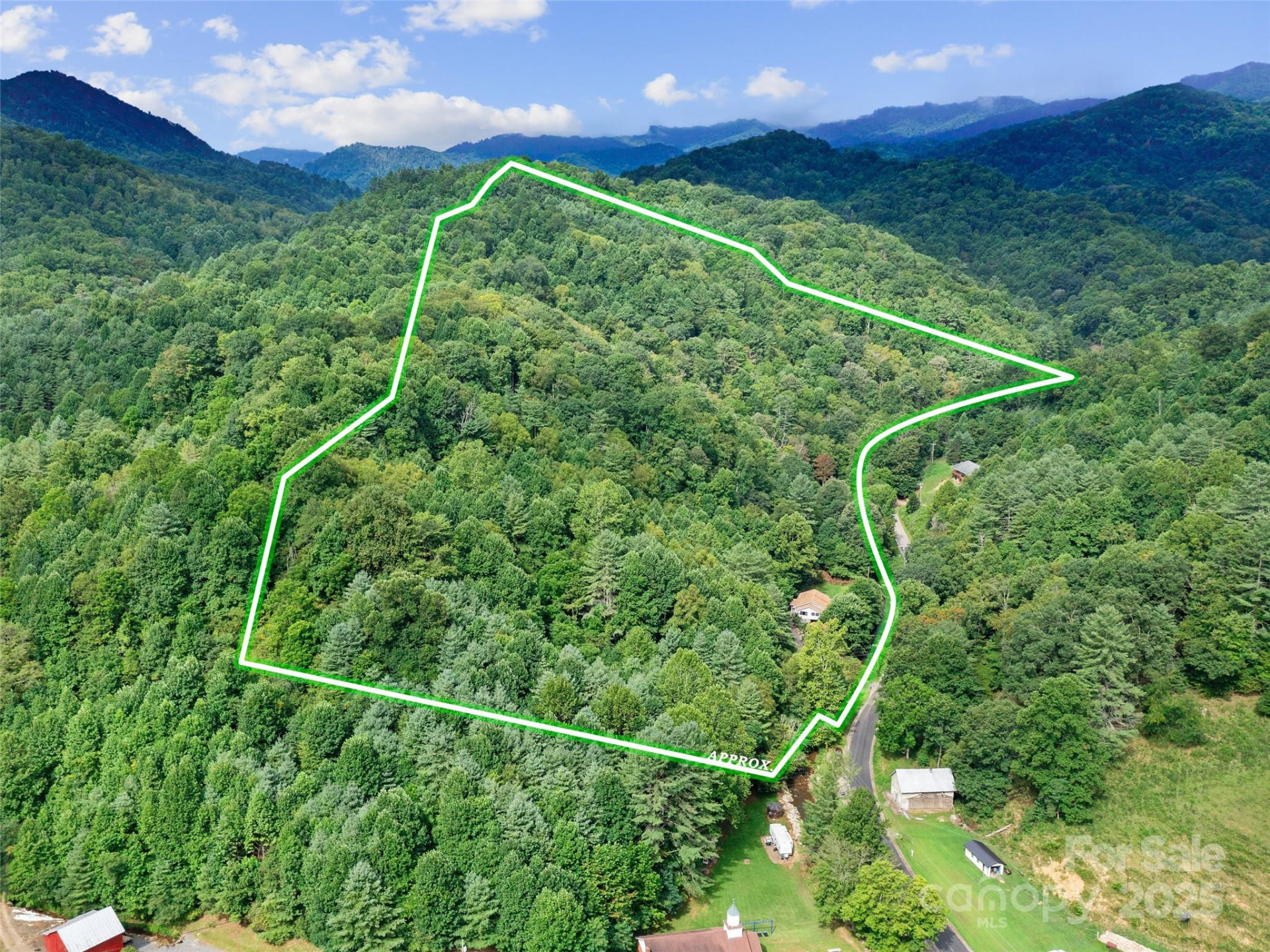 1393 Bald Mountain Road - Photo 6