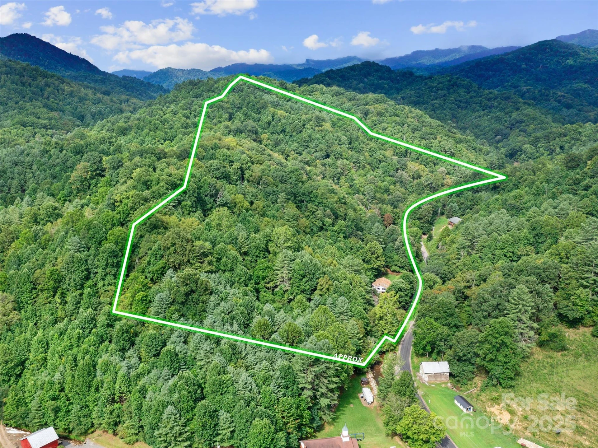1393 Bald Mountain Road - Photo 6