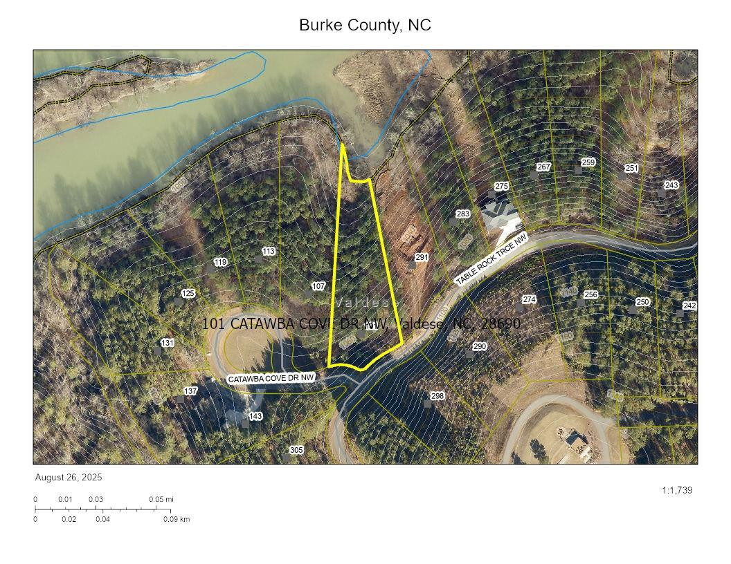 101 Catawba Cove Drive #142 - Photo 2