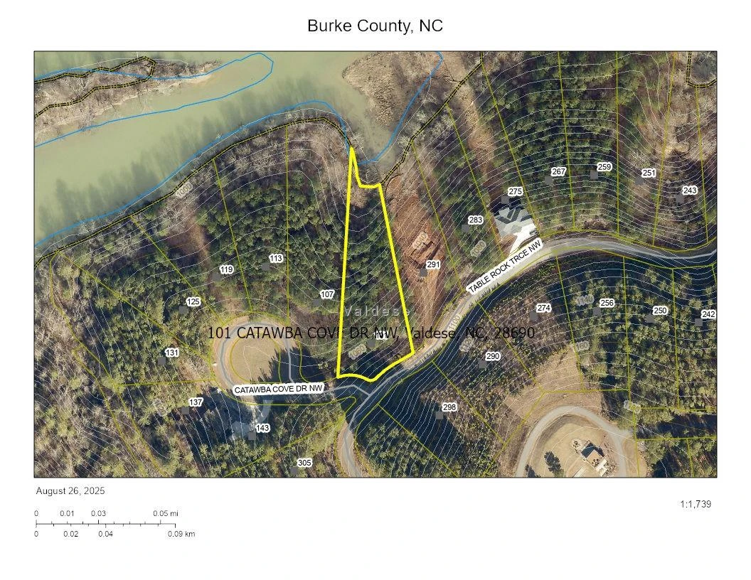 101 Catawba Cove Drive #142 - Photo 2