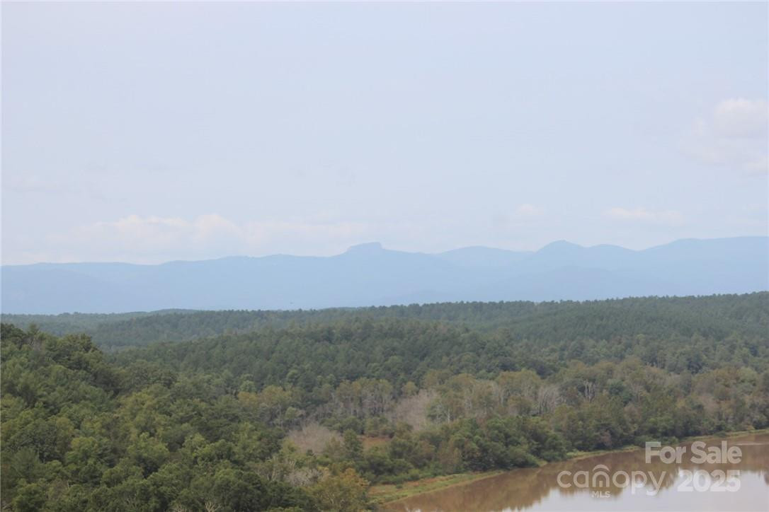 101 Catawba Cove Drive #142 - Photo 13