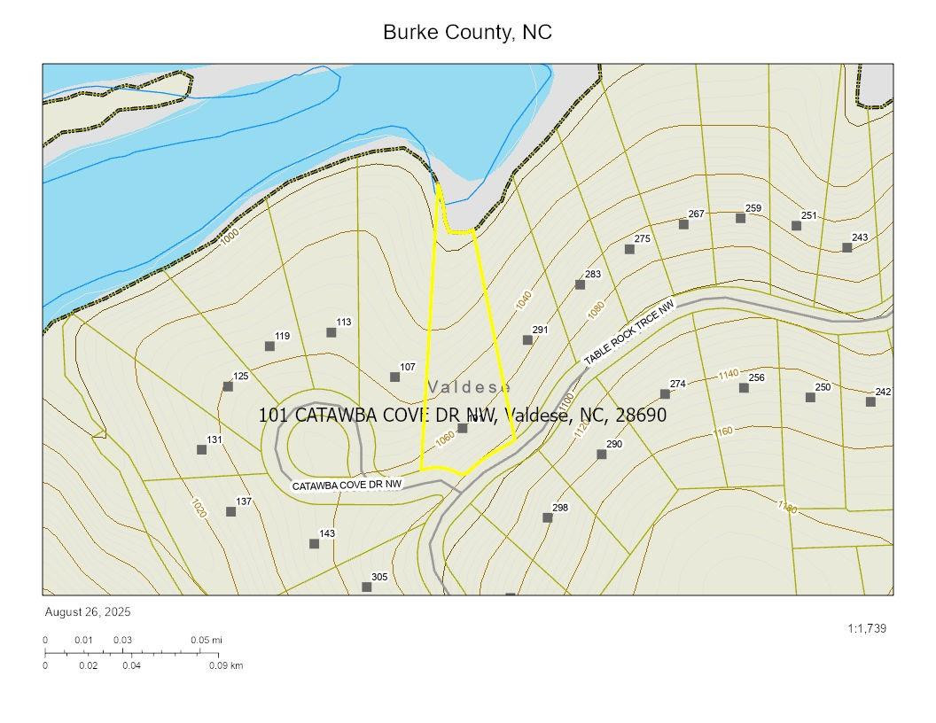 101 Catawba Cove Drive #142 - Photo 3