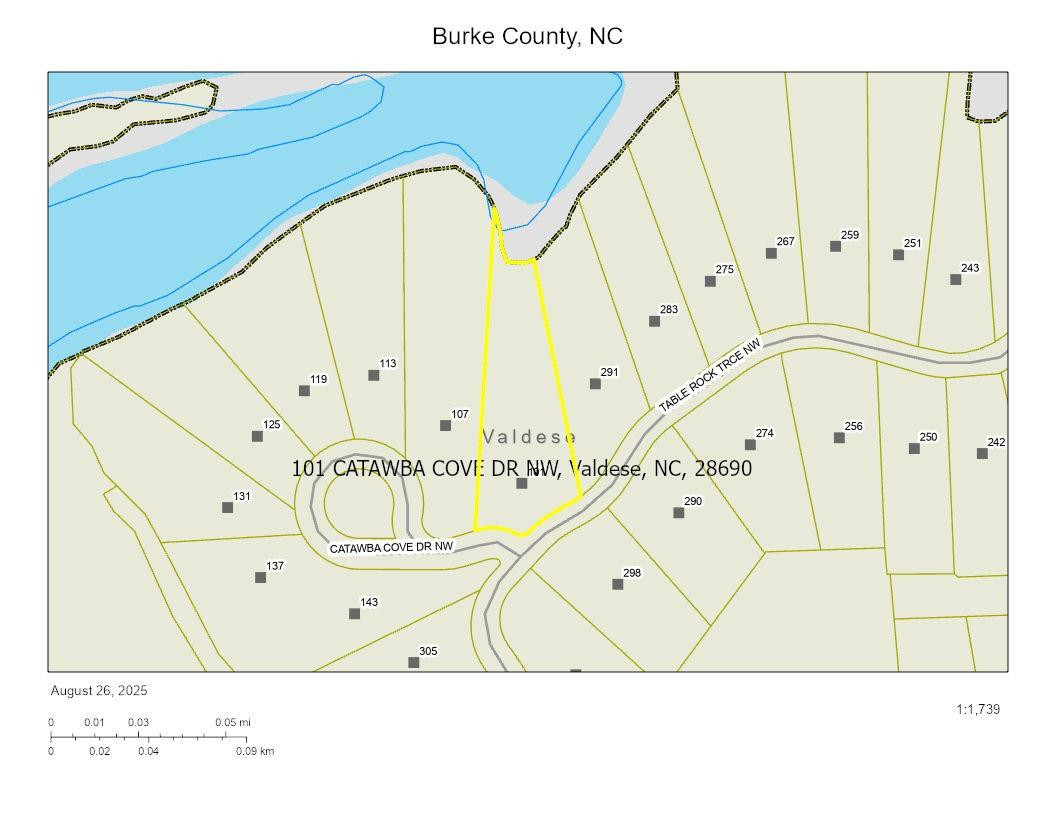 101 Catawba Cove Drive #142 - Photo 4