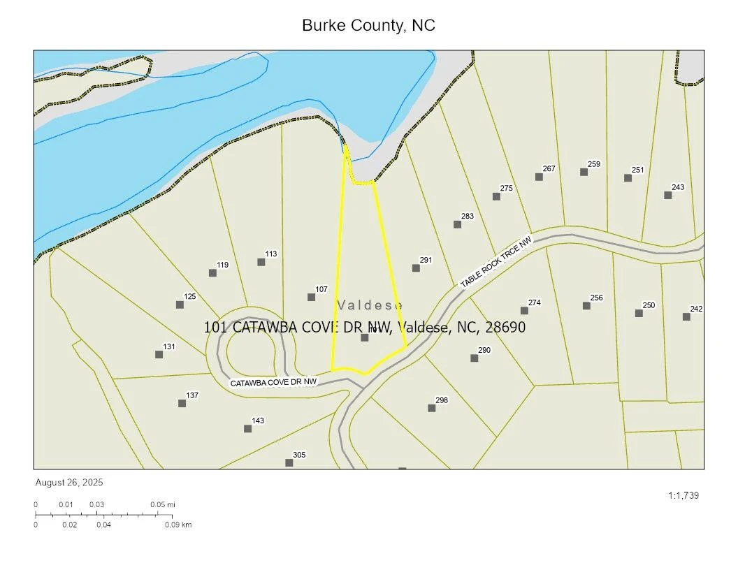 101 Catawba Cove Drive #142 - Photo 4