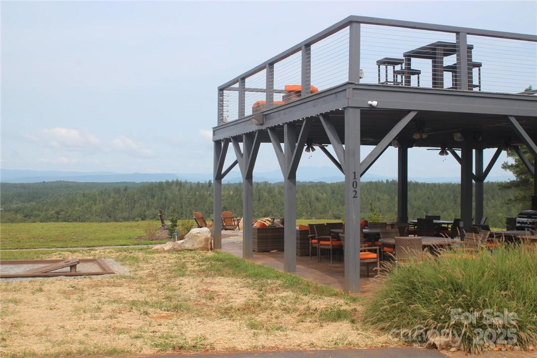 101 Catawba Cove Drive #142 - Photo 8