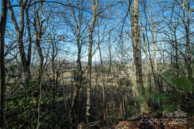 TBD Three Mile Knob Road, Pisgah Forest, NC, 28768