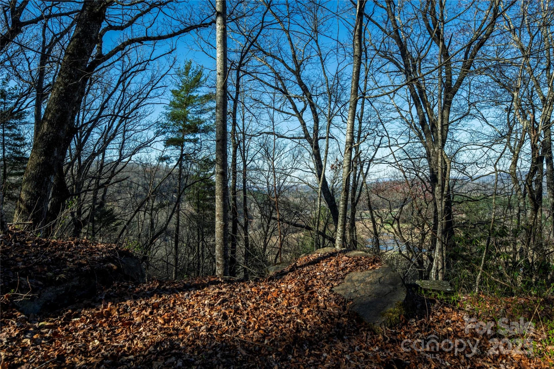 TBD Three Mile Knob Road #L2 - Photo 2