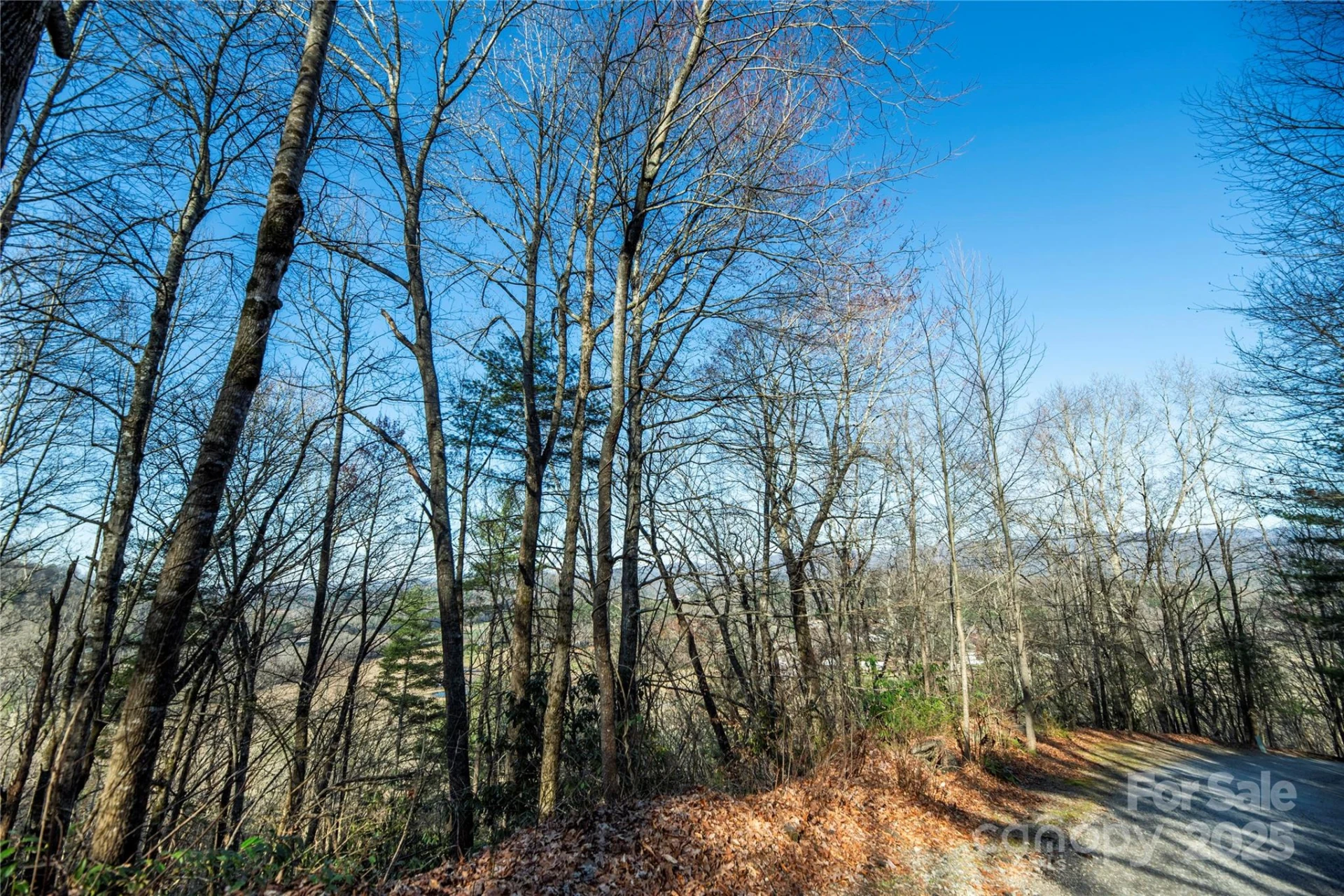 TBD Three Mile Knob Road #L2 - Photo 3