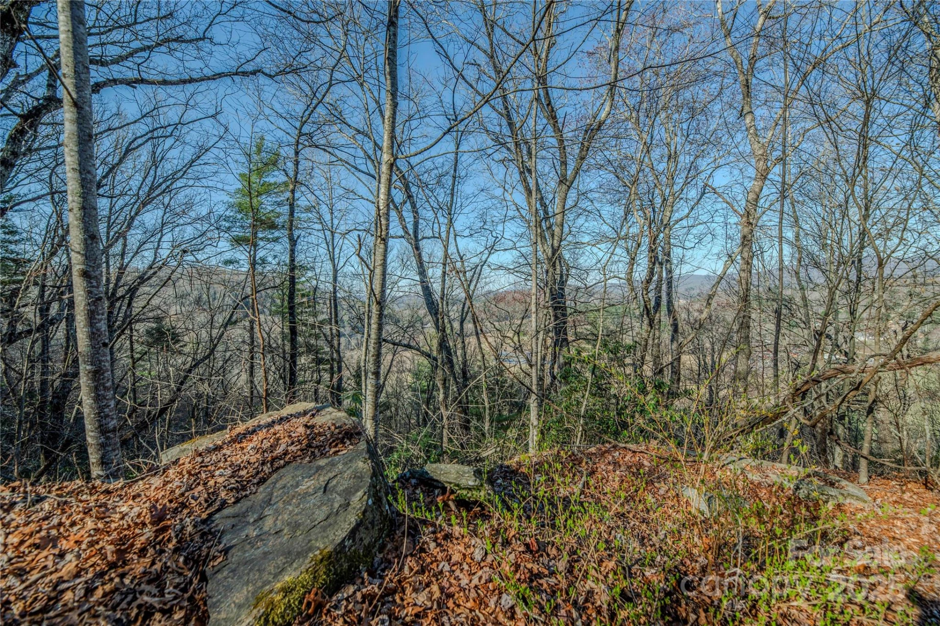 TBD Three Mile Knob Road #L2 - Photo 4