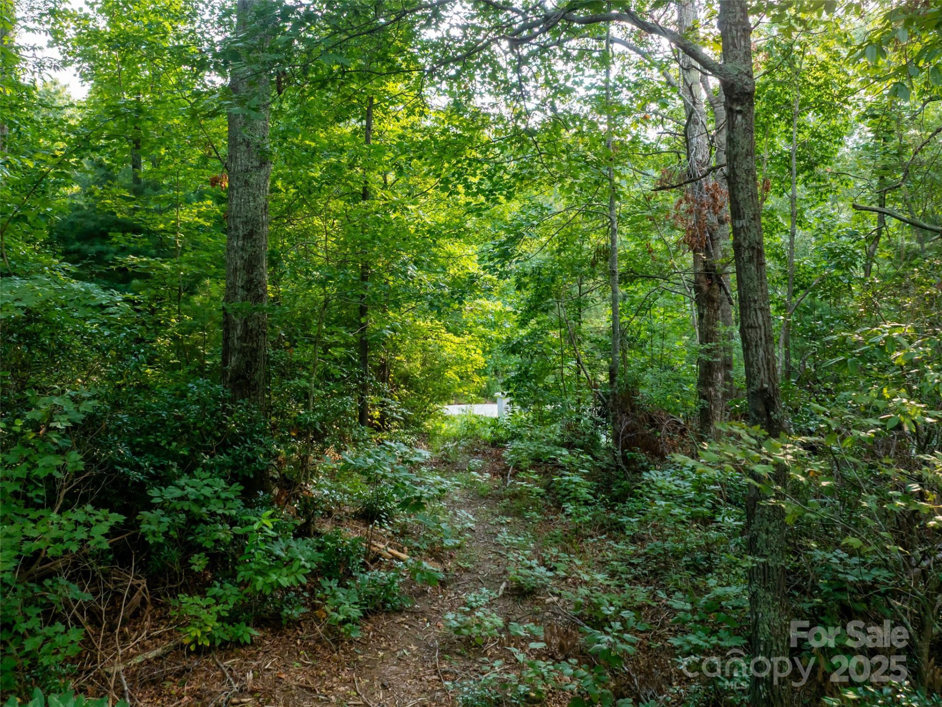 407 Melnick Terrace - Photo 11