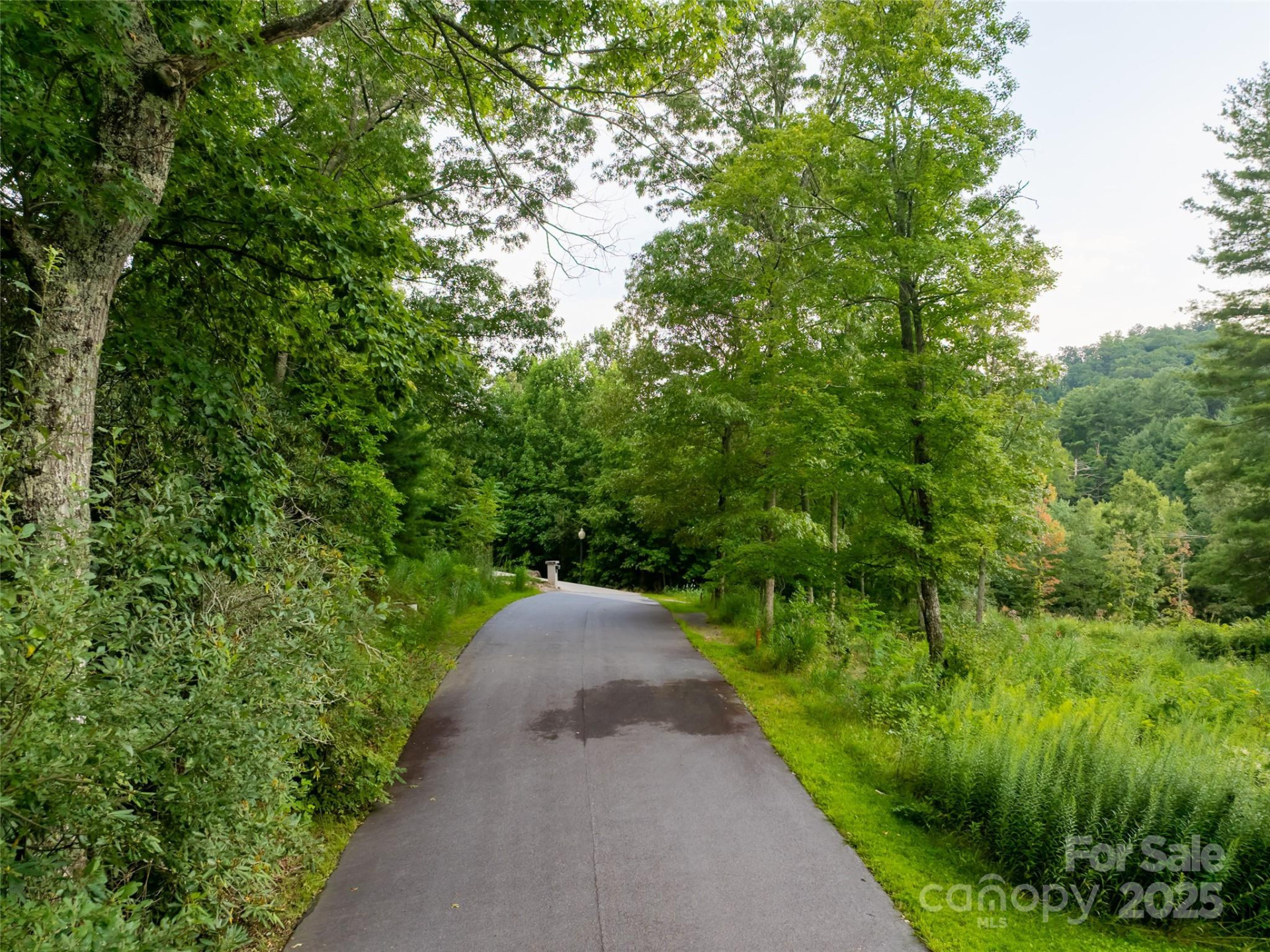407 Melnick Terrace - Photo 13