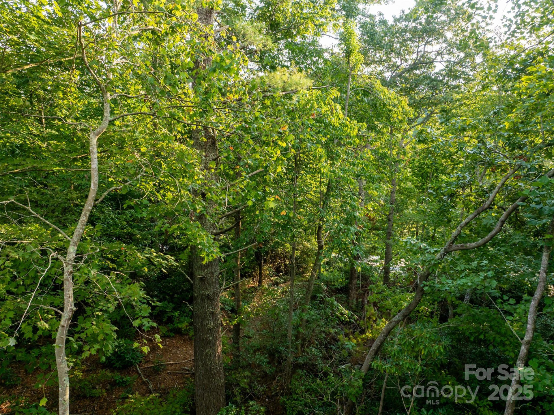 407 Melnick Terrace - Photo 8