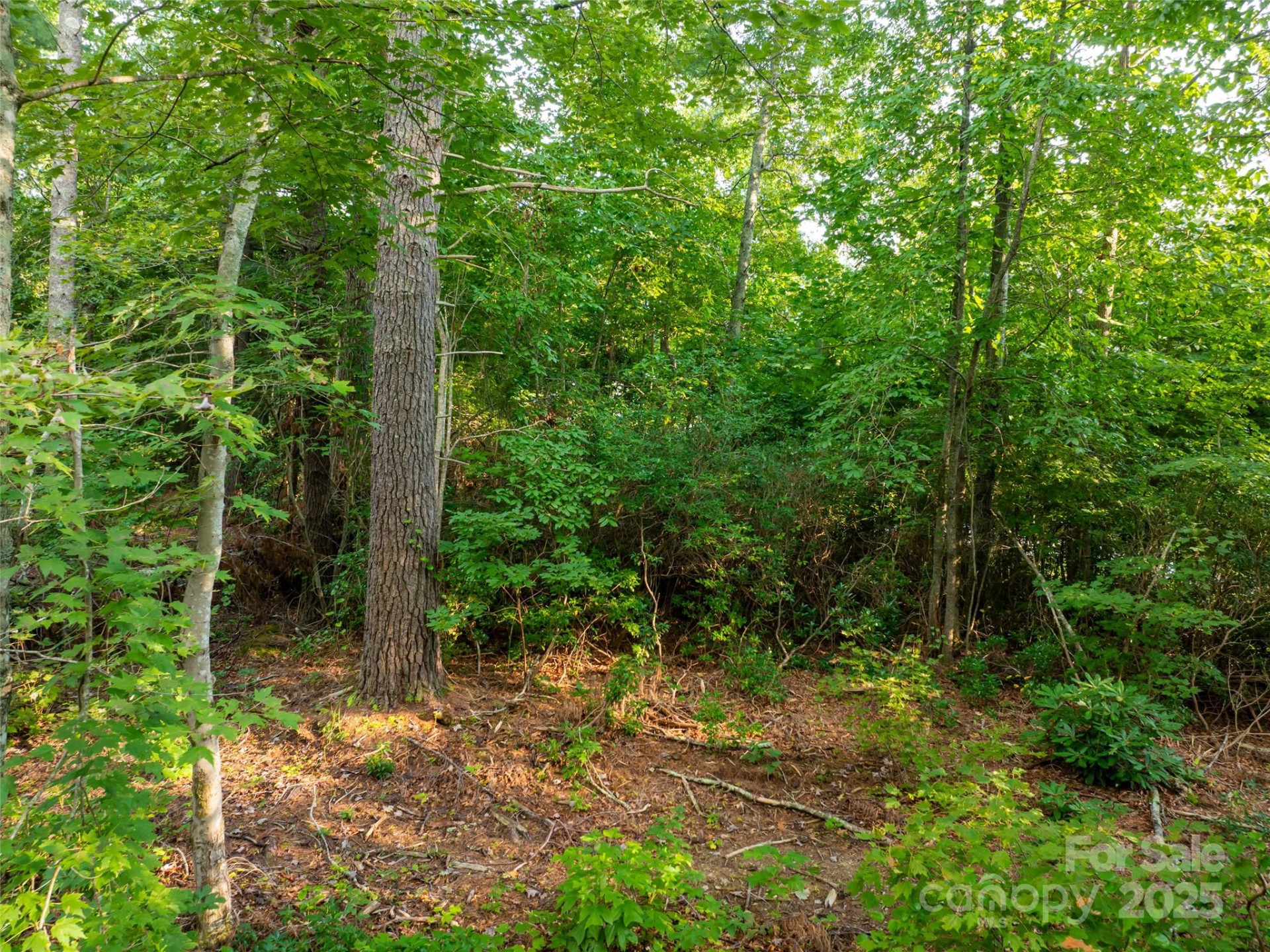 407 Melnick Terrace - Photo 9